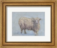 Sheep Strut I Fine Art Print