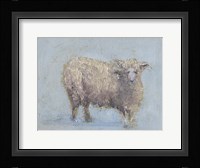 Sheep Strut I Framed Print
