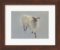 Sheep Strut II Fine Art Print
