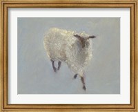 Sheep Strut II Fine Art Print