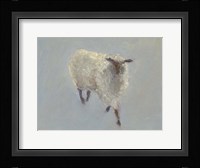 Sheep Strut II Framed Print
