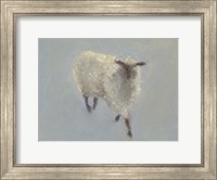 Sheep Strut II Fine Art Print