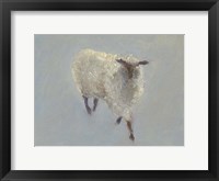 Sheep Strut II Framed Print