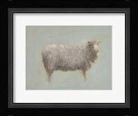 Sheep Strut III Framed Print