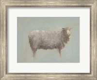 Sheep Strut III Fine Art Print