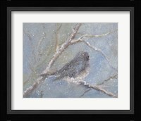 Chance of Snow II Fine Art Print