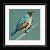 Winged Sketch II on Teal Framed Print