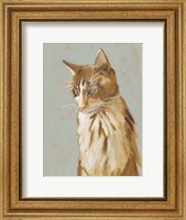 Lap Cat II Fine Art Print