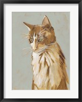 Lap Cat II Framed Print