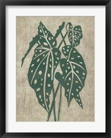 Vintage Greenery II Framed Print