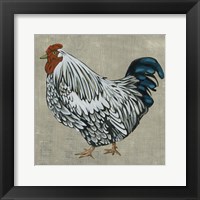 Roost IV Framed Print