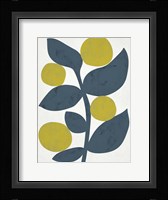 Branch II Framed Print