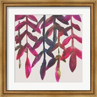 Fuchsia Vine I Fine Art Print