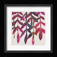 Fuchsia Vine I Framed Print
