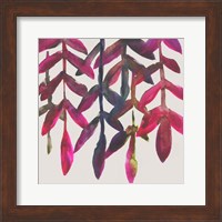 Fuchsia Vine I Fine Art Print