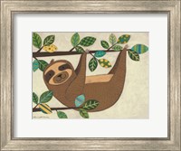 Hanging Sloth Fine Art Print