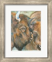 The Herd Fine Art Print