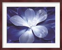Blue Succulent II Fine Art Print