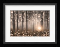 Enchanted Morning Fine Art Print