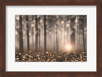 Enchanted Morning Fine Art Print