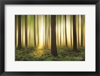 Forest in Motion Fine Art Print