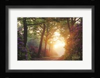 Color Overdose Fine Art Print