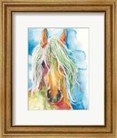 Water Horse Fine Art Print