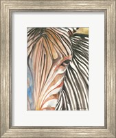 Zebra Fine Art Print