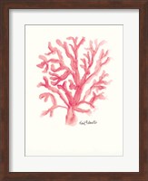 C is for Coral Fine Art Print