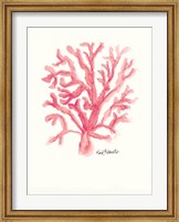 C is for Coral Fine Art Print
