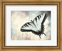 Teal Butterfly II Fine Art Print