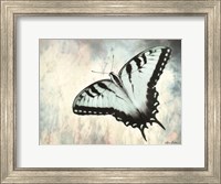 Teal Butterfly II Fine Art Print