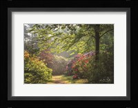 Garden of Eden Fine Art Print