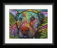 Safe and Sound Fine Art Print