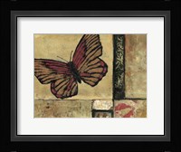 Butterfly in Border I Framed Print