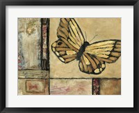 Butterfly in Border II Fine Art Print