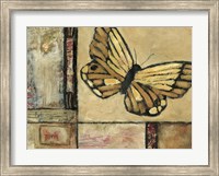 Butterfly in Border II Fine Art Print