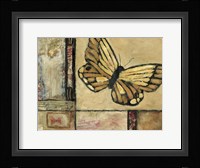 Butterfly in Border II Framed Print