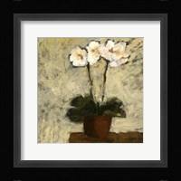 Orchid Textures I Fine Art Print