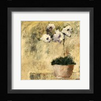 Orchid Textures III Fine Art Print