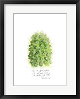 Cactus Verse I Fine Art Print
