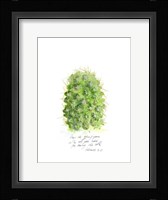 Cactus Verse I Framed Print