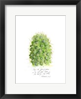 Cactus Verse I Framed Print