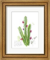 Cactus Verse II Fine Art Print