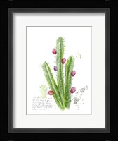 Cactus Verse II Framed Print