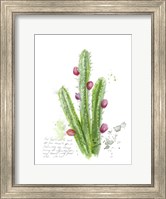 Cactus Verse II Fine Art Print