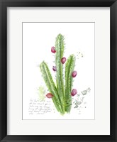 Cactus Verse II Framed Print
