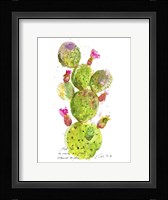 Cactus Verse III Framed Print