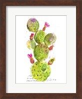 Cactus Verse III Fine Art Print