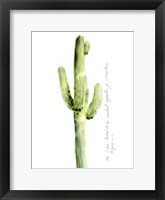 Cactus Verse V Framed Print